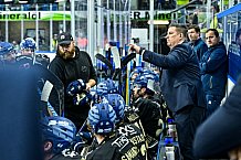 Eishockey, Herren, Penny DEL, 12. Spieltag, Saison 2023-2024, Straubing Tigers - Duesseldorfer EG,20.10.2023