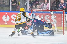 Eishockey, Men, CHL, Champions Hockey League, Regular Saison 2024-25, Game Day 2, Straubing Tigers - Skelleftea AIK, 08.09.2024