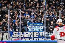 Eishockey, Men, CHL, Champions Hockey League, Regular Saison 2024-25, Game Day 4, Straubing Tigers - Dynamo Pardubice, 15.09.2024