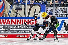 Eishockey, Herren, Penny DEL, 49. Spieltag, Saison 2023-2024, Straubing Tigers - Frankfurter Löwen,25.02.2024
