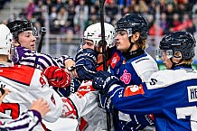 Eishockey, Men, CHL, Champions Hockey League, Regular Saison 2024-25, Game Day 4, Straubing Tigers - Dynamo Pardubice, 15.09.2024