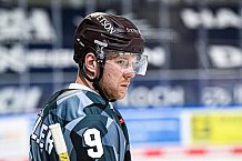 Eishockey, Herren, DEL, Saison 2020-2021, Straubing Tigers - Kölner Haie, 11.04.2021