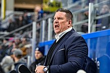 Eishockey, Herren, Penny DEL, 32. Spieltag, Saison 2023-2024, Straubing Tigers - Adler Mannheim,28.12.2023