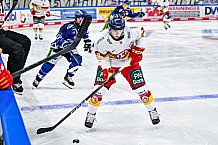 Eishockey, Men, DEL, Penny DEL, Hauptrunde Saison 2024-25, 1. Spieltag, Straubing Tigers - Düsseldorfer EG, 20.09.2024
