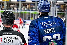 Eishockey, Herren, Penny DEL, Saison 2024-2024, Vorbereitung, Spiel um Platz 3 - Gäubodencup 2024, Straubing Tigers - Mountfield HK, 31.08.2024