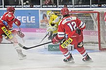 Herren, Eishockey, Oberliga-Süd, DEB, Saison 2024-2025, Deggendorfer SC - Tölzer Löwen, 22.09.2024
