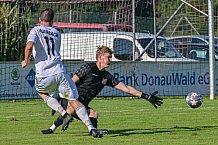 Fußball, Herren, Kreisliga Straubing, SV Auerbach - ASV Steinach, BFV, 7. Spieltag, Saison 2023-2024,09.09.2023