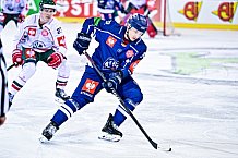 Eishockey, Herren, CHL, Champions Hockey League, Saison 2022-2023, Achtelfinale, Straubing Tigers - Frölunda HC Göteborg, Rückspiel, 22.11.2022