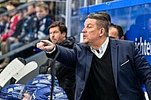 Eishockey, Herren, Penny DEL, 26. Spieltag, Saison 2023-2024, Straubing Tigers - Iserlohn Roosters,10.12.2023