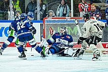 Eishockey, Herren, Penny DEL, 11. Spieltag, Saison 2023-2024, Straubing Tigers - Koelner Haie,15.10.2023