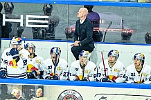 Eishockey, Herren, Penny DEL, 17. Spieltag, Saison 2023-2024, Straubing Tigers - EHC Red Bull Muenchen,03.11.2023