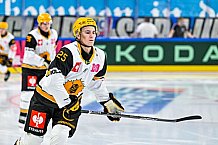 Eishockey, Men, CHL, Champions Hockey League, Regular Saison 2024-25, Game Day 2, Straubing Tigers - Skelleftea AIK, 08.09.2024