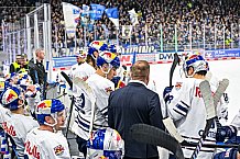 Eishockey, Herren, Penny DEL, 17. Spieltag, Saison 2023-2024, Straubing Tigers - EHC Red Bull Muenchen,03.11.2023