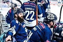Eishockey, Herren, DEL, Saison 2021-2022, 52. Spieltag, Straubing Tigers - Showtraining,  06.03.2022