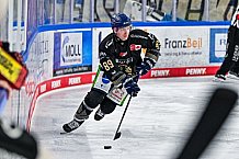 Eishockey, Herren, Penny DEL, 47. Spieltag, Saison 2023-2024, Straubing Tigers - Koelner Haie,18.02.2024