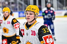 Eishockey, Men, CHL, Champions Hockey League, Regular Saison 2024-25, Game Day 2, Straubing Tigers - Skelleftea AIK, 08.09.2024