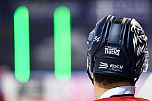 Eishockey, Herren, DEL, Saison 2021-2022, Panther, 16.12.2021