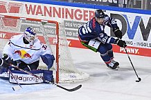 Eishockey, Herren, DEL, Saison 2020-2021, Straubing Tigers - EHC Red Bull München, 22.02.2021