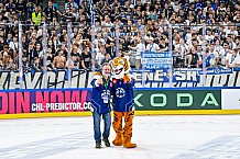 Eishockey, Men, CHL, Champions Hockey League, Regular Saison 2024-25, Game Day 2, Straubing Tigers - Skelleftea AIK, 08.09.2024