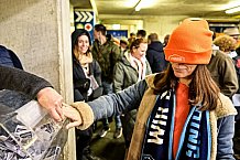 Eishockey, Herren, Penny DEL, DEL, Saison 2022-2023, Hauptrunde, Straubing Tigers - Kölner Haie, 57. Spieltag, 26.02.2023