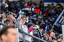 Eishockey, Men, CHL, Champions Hockey League, Regular Saison 2024-25, Game Day 4, Straubing Tigers - Dynamo Pardubice, 15.09.2024