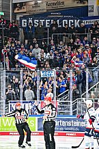 Eishockey, Men, DEL, Penny DEL, Hauptrunde Saison 2024-25, 8. Spieltag, Straubing Tigers - Adler Mannheim, 11.10.2024