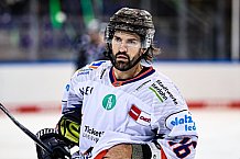 Eishockey, Herren, DEL, Saison 2021-2022, 19.10.2021