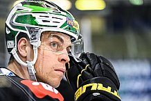 Eishockey, Herren, DEL, Saison 2021-2022, Panther, 21.12.2021