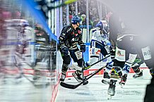 Eishockey, Herren, Penny DEL, 16. Spieltag, Saison 2023-2024, Straubing Tigers - Schwenninger Wild Wings,31.10.2023