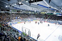 Eishockey, Herren, Penny DEL, DEL, Saison 2022-2023, Playoffs, Viertelfinale, Spiel 1, Straubing Tigers - Grizzlys Wolfsburg, 14.03.2023