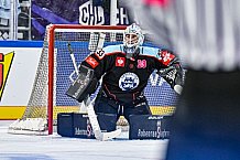 Eishockey, Men, CHL, Champions Hockey League, Regular Saison 2024-25, Game Day 1, Straubing Tigers - SonderjyskE Vojens, 06.09.2024