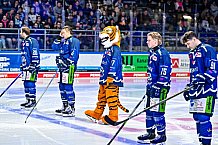 Eishockey, Men, DEL, Penny DEL, Hauptrunde Saison 2024-25, 4. Spieltag, Straubing Tigers - EHC Red Bull München, 29.09.2024
