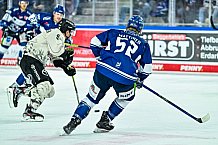Eishockey, Herren, Penny DEL, 11. Spieltag, Saison 2023-2024, Straubing Tigers - Koelner Haie,15.10.2023