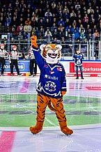 Eishockey, Men, DEL, Penny DEL, Hauptrunde Saison 2024-25, 5. Spieltag, Straubing Tigers - Eisbären Berlin, 01.10.2024