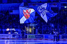 Eishockey, Herren, Penny DEL, 12. Spieltag, Saison 2023-2024, Straubing Tigers - Duesseldorfer EG,20.10.2023