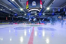 Eishockey, Herren, Penny DEL, 37. Spieltag, Saison 2023-2024, Straubing Tigers - Eisbären Berlin,12.01.2024
