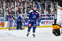 Eishockey, Men, CHL, Champions Hockey League, Regular Saison 2024-25, Game Day 2, Straubing Tigers - Skelleftea AIK, 08.09.2024
