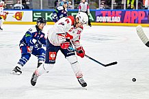 Eishockey, Men, CHL, Champions Hockey League, Regular Saison 2024-25, Game Day 4, Straubing Tigers - Dynamo Pardubice, 15.09.2024