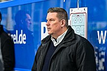 Eishockey, Herren, Penny DEL, 40. Spieltag, Saison 2023-2024, Straubing Tigers - Augsburger Panther,21.01.2024