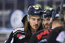 Eishockey, Herren, DEL, Saison 2020 2021, Straubing Tigers - ERC Ingolstadt, 31.01.2021