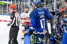 Eishockey, Men, DEL, Penny DEL, Hauptrunde Saison 2024-25, 1. Spieltag, Straubing Tigers - Düsseldorfer EG, 20.09.2024
