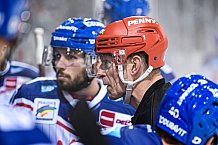 Eishockey, Herren, DEL, Saison 2021-2022, Straubing Tigers - Adler Mannheim, 10.09.2021
