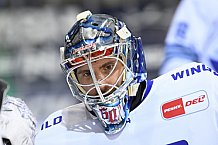 Eishockey, Herren, DEL, Saison 2020-2021, Straubing Tigers - Schwenninger Wild Wings, 17.02.2021