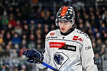 Eishockey, Herren, Penny DEL, 42. Spieltag, Saison 2023-2024, Straubing Tigers - Ingolstadt Panther,28.01.2024