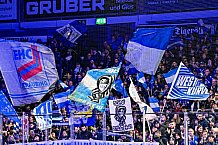 Eishockey, Herren, Penny DEL, 26. Spieltag, Saison 2023-2024, Straubing Tigers - Iserlohn Roosters,10.12.2023
