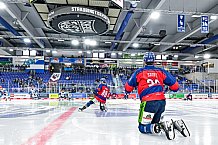 Eishockey, Herren, Penny DEL, Playoffs, Viertelfinale, Spiel 7, Saison 2023-2024, Straubing Tigers - Schwenninger Wild Wings,30.03.2024