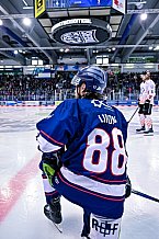 Eishockey, Herren, Penny DEL, DEL, Saison 2022-2023, Playoffs, Viertelfinale, Spiel 3, Straubing Tigers - Grizzlys Wolfsburg, 19.03.2023