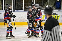 Herren, Eishockey, Oberliga-Süd, Saison 2021-2022, 43. Spieltag, Deggendorfer SC - Höchstadt Alligators,  04.03.2022