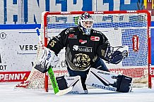 Eishockey, Herren, Penny DEL, 36. Spieltag, Saison 2023-2024, Straubing Tigers - Iserlohn Roosters,07.01.2024
