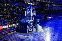Eishockey, Men, CHL, Champions Hockey League, Regular Saison 2024-25, Game Day 2, Straubing Tigers - Skelleftea AIK, 08.09.2024